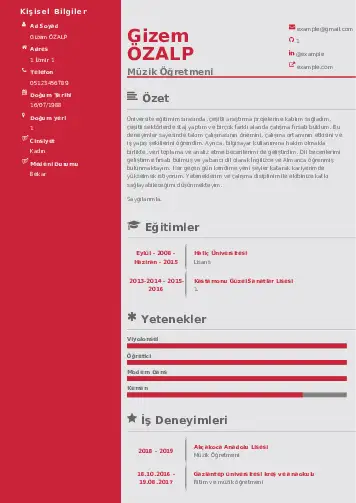 Müzik Öğretmeni Cv Örnekleri cv indir